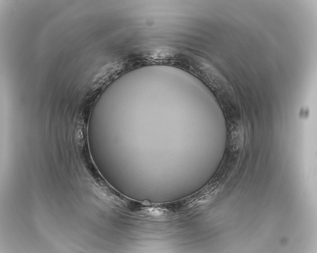 X0000093610654200710291206