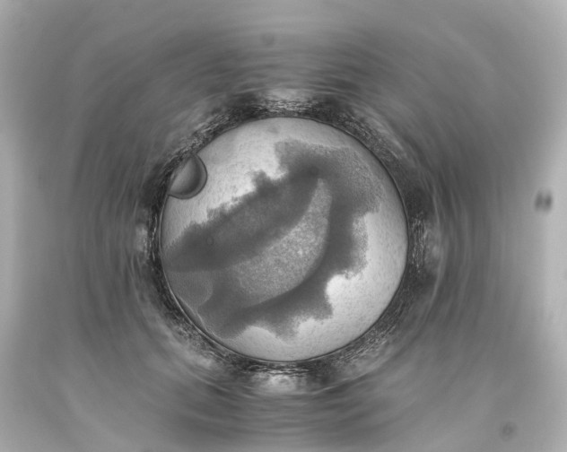 X0000093610655200710291206