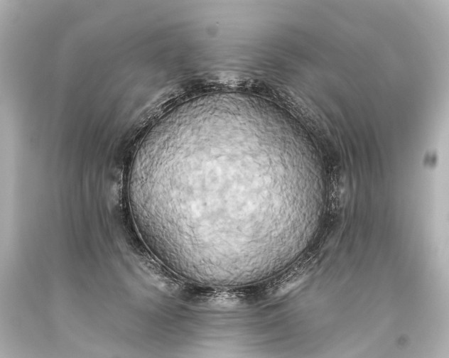 X0000093610656200710291206