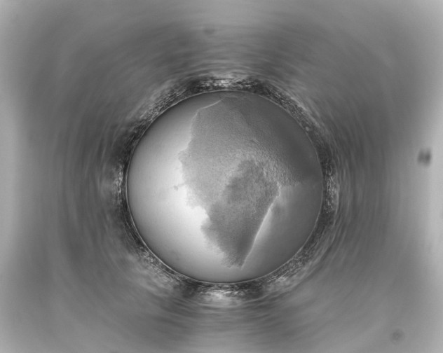 X0000093610657200710291206