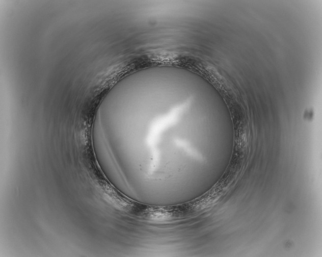 X0000093610658200710291206