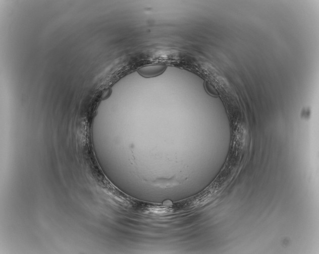 X0000093610659200710291206