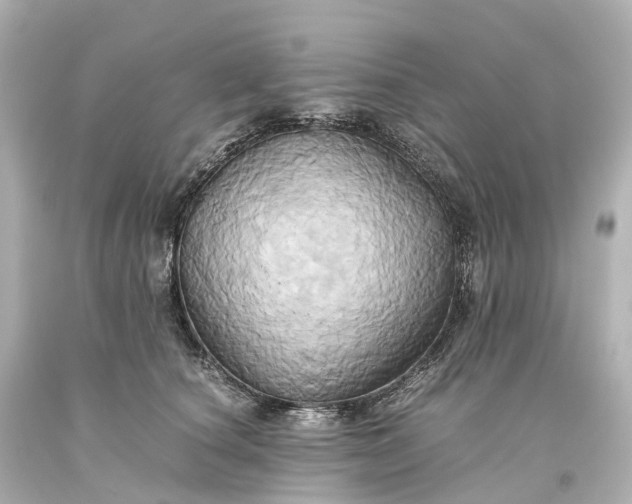 X0000093610660200710291206