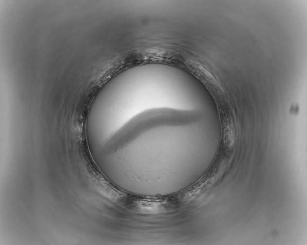 X0000093610661200710291206