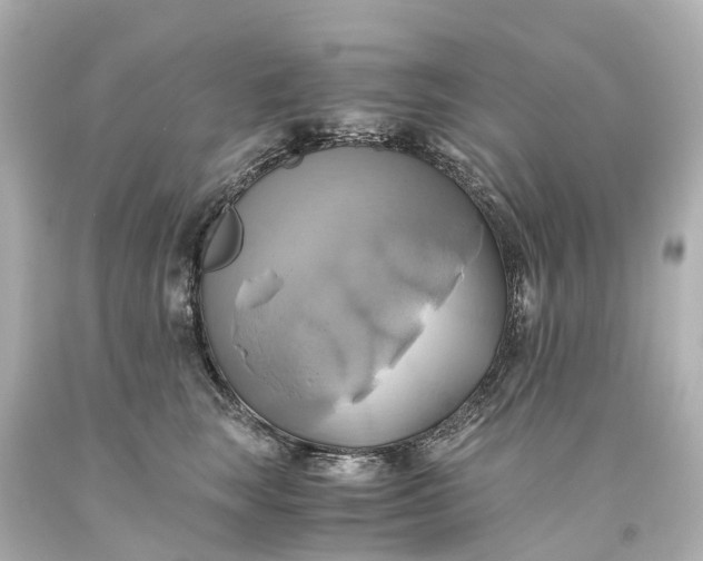 X0000093610663200710291206