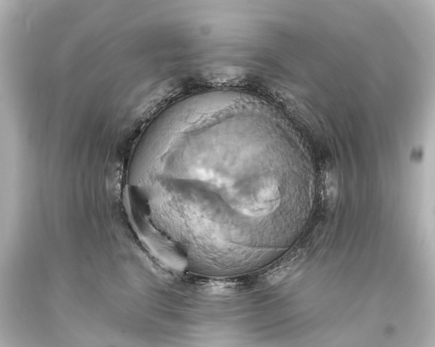 X0000093610664200710291206