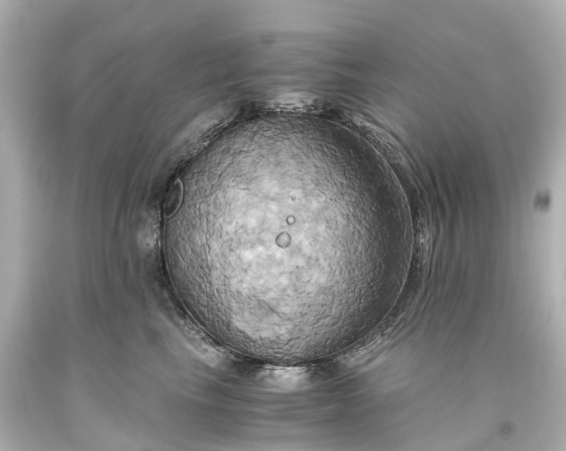 X0000093610665200710291206