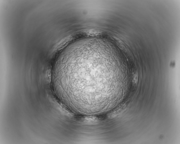 X0000093610666200710291206