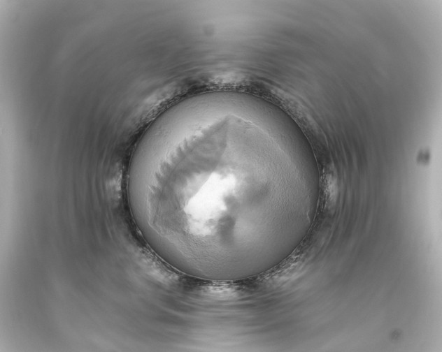 X0000093610668200710291206