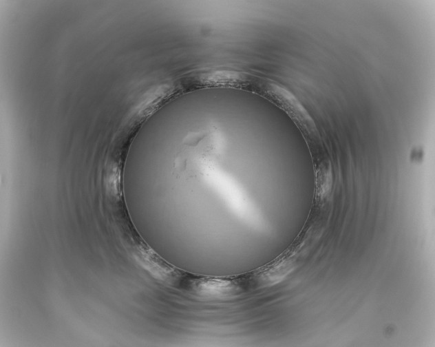 X0000093610669200710291206