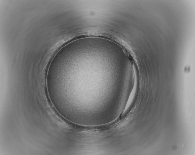 X0000093610673200710291206