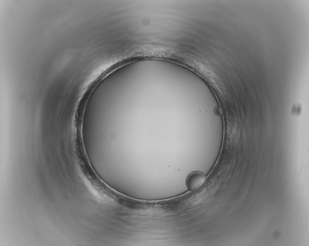 X0000093610674200710291206