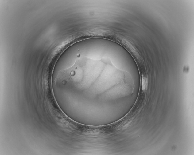 X0000093610675200710291206