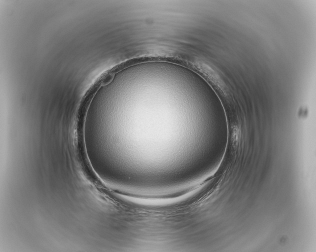 X0000093610676200710291206
