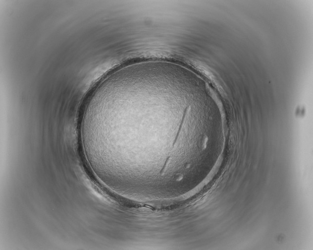 X0000093610677200710291206