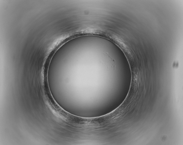 X0000093610678200710291206