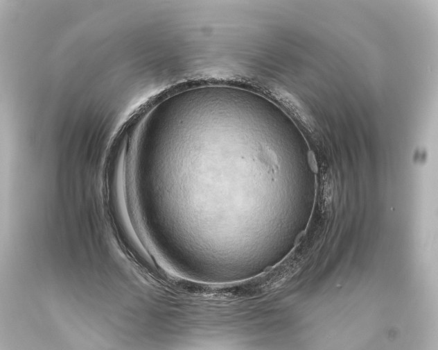 X0000093610680200710291206