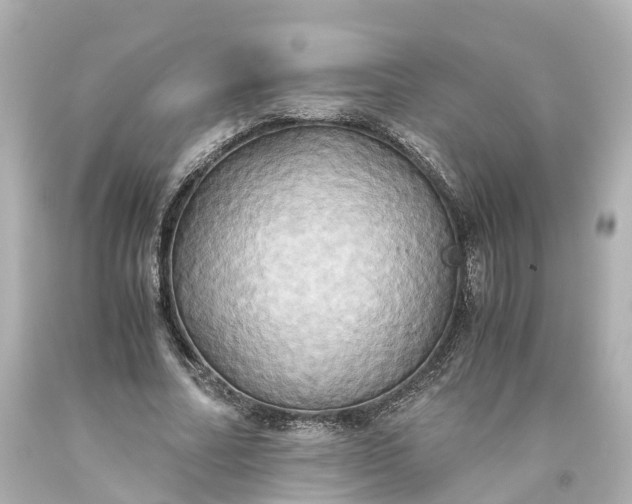 X0000093610682200710291206