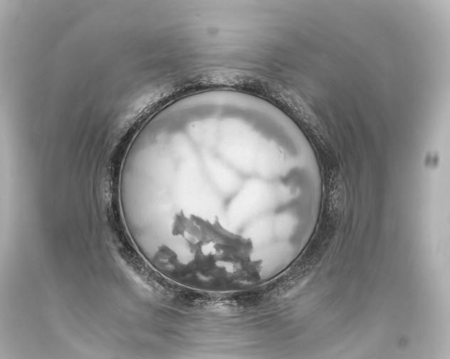X0000093610683200710291206