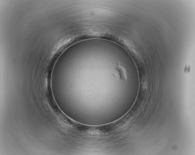 X0000093610685200710291205