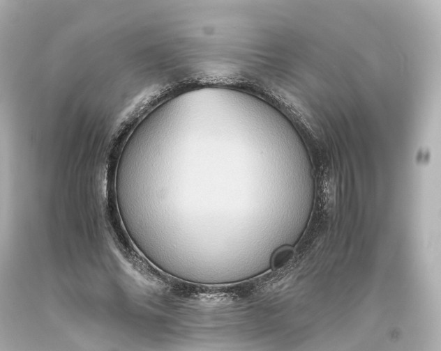 X0000093610686200710291205