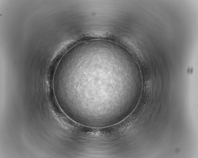 X0000093610688200710291205