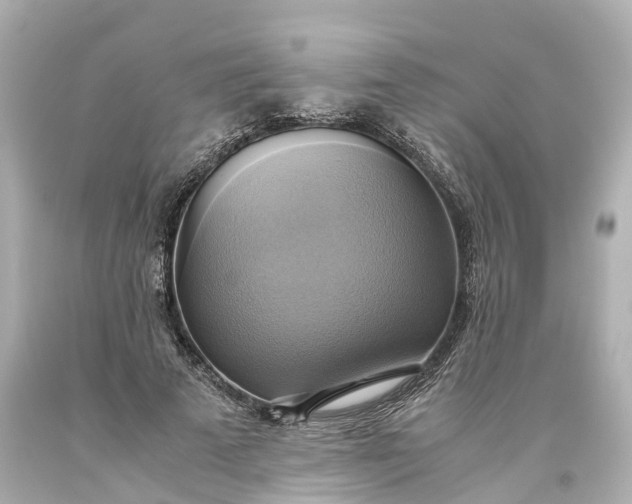 X0000093610689200710291205