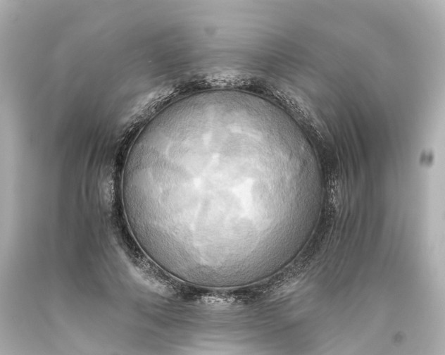 X0000093610690200710291205