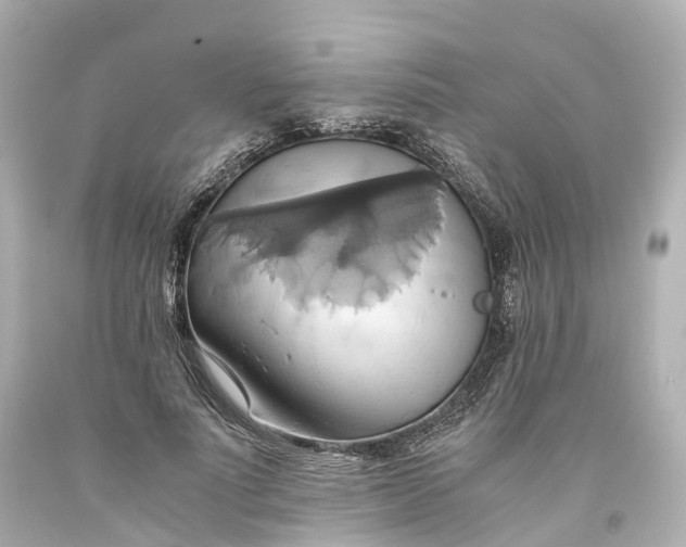 X0000093610691200710291205