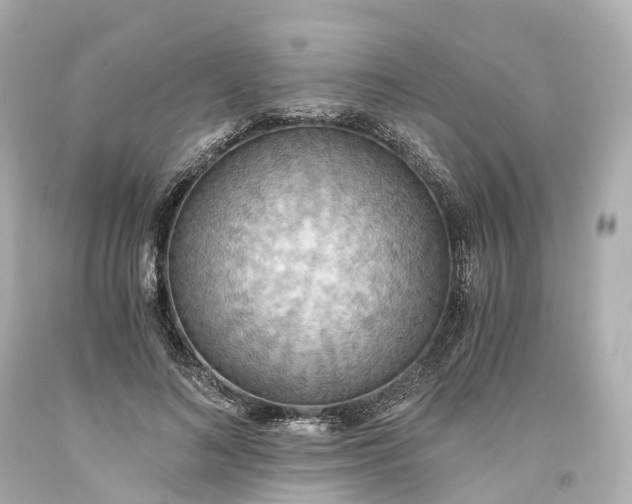 X0000093610692200710291205