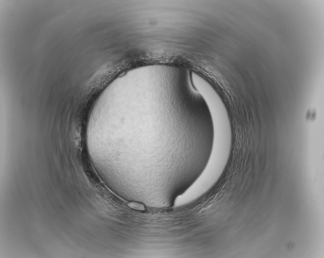 X0000093610693200710291205