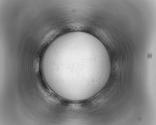 X0000093610694200710291205