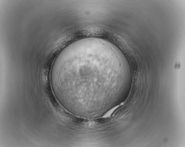 X0000093610695200710291205