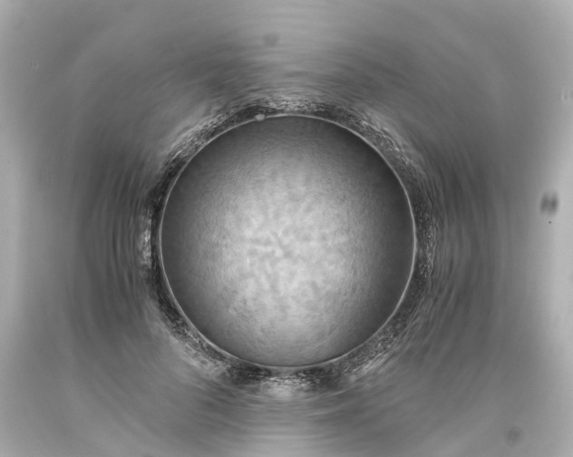 X0000093610696200710291205