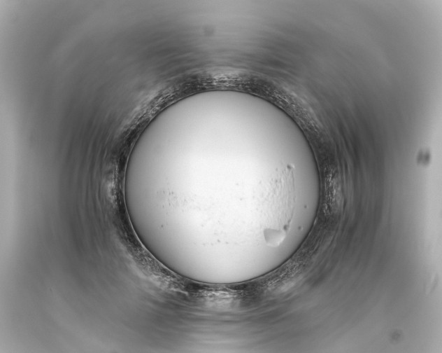 X0000093610698200710291205