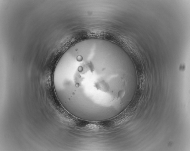X0000093610699200710291205