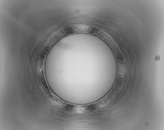X0000093610701200710291205