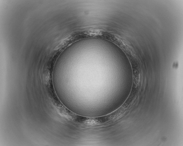X0000093610704200710291205