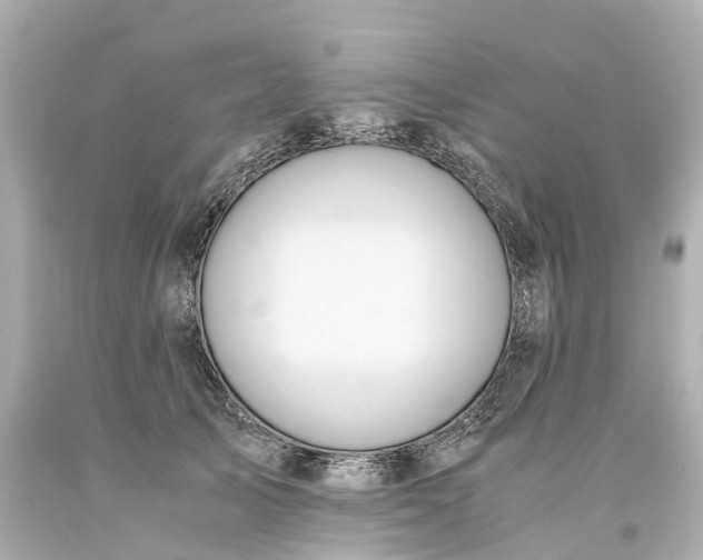 X0000093610705200710291205