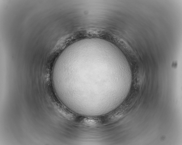 X0000093610706200710291205
