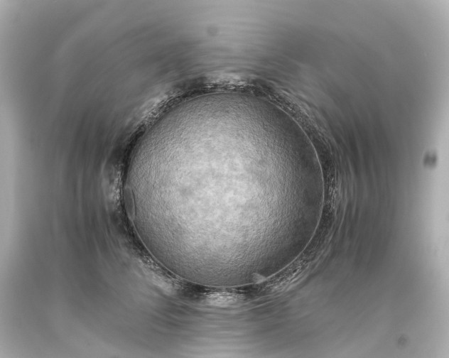 X0000093610708200710291205