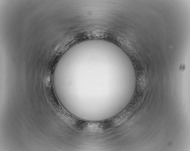 X0000093610709200710291205