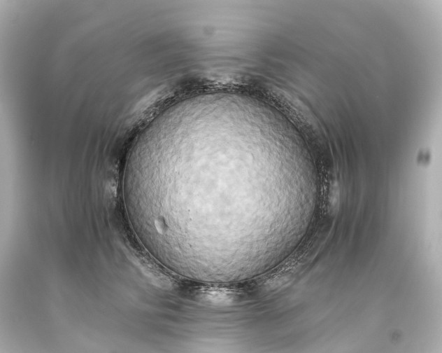 X0000093610710200710291205