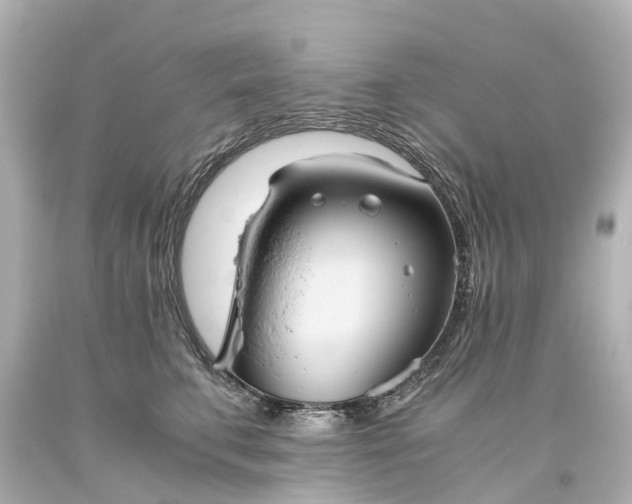 X0000093610711200710291205