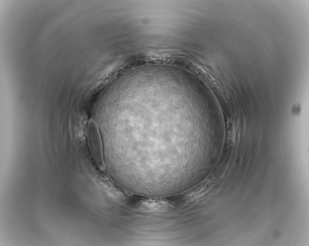 X0000093610712200710291205