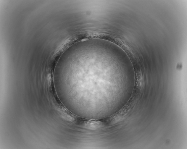 X0000093610716200710291205
