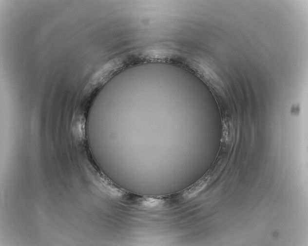 X0000093610718200710291205
