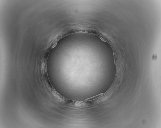 X0000093610720200710291205