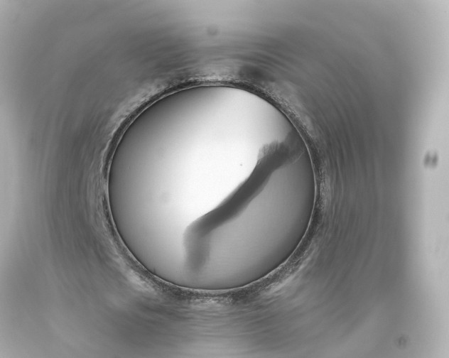 X0000093610721200710291204