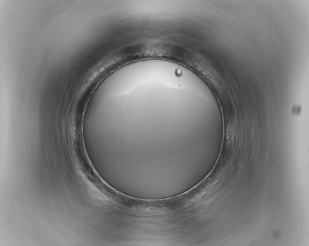 X0000093610722200710291204